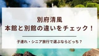 【必見】別府清風の本館と別館の違いを解説！どっちが子連れ・年配向き？