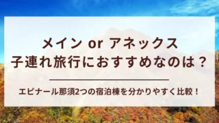【徹底比較】エピナール那須のメインタワーとアネックスタワーはどっちが良い？子連れ旅行や三世代旅行におすすめなのは？